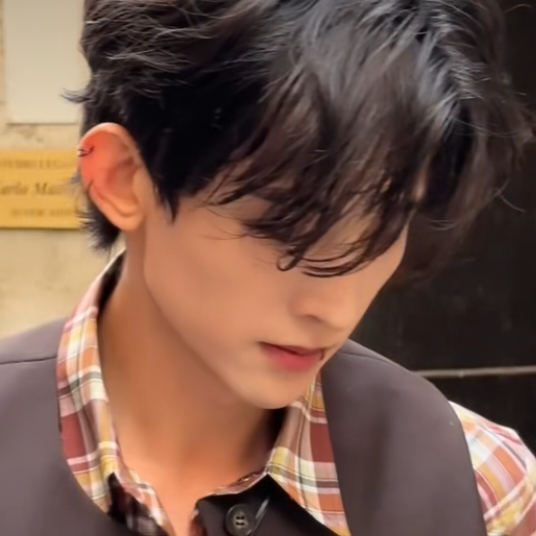 给你宇宙好不好