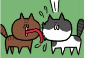 (>^ω^<)
