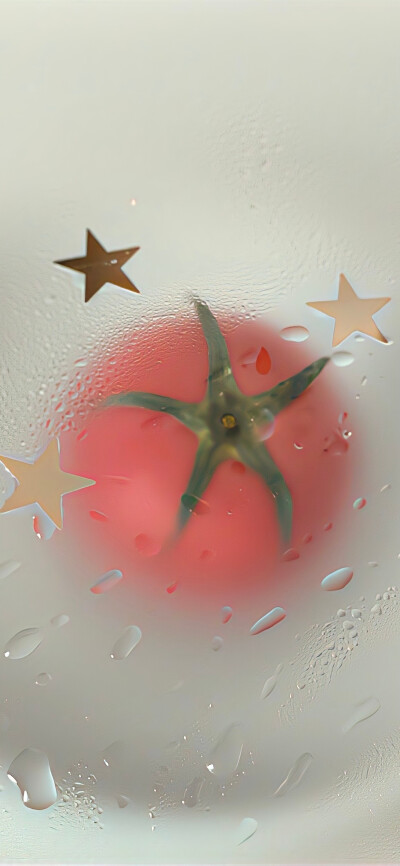 壁纸