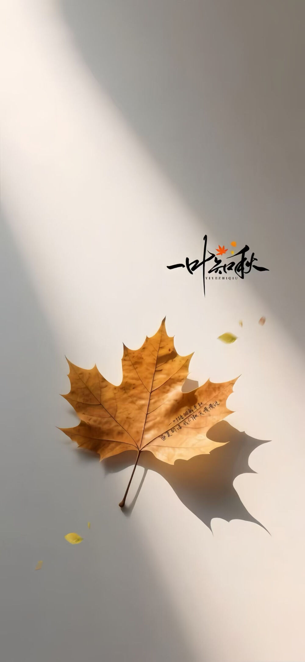 酷