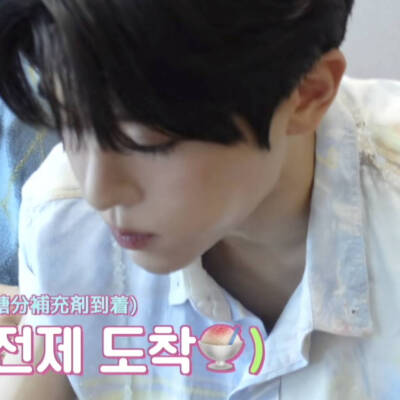 偷菜私