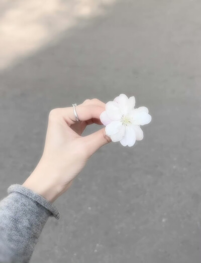 背景图