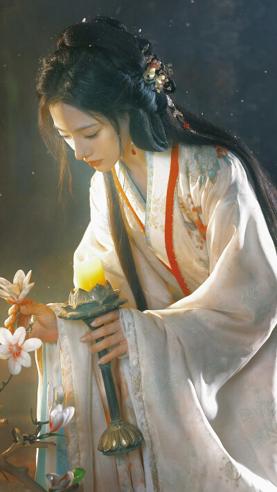 金昭玉醉 陆昭 朱丽岚