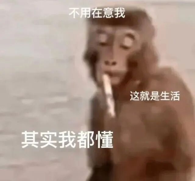表情包