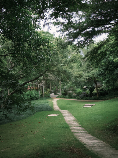 dazz拍的 公园 以及学校阿姨