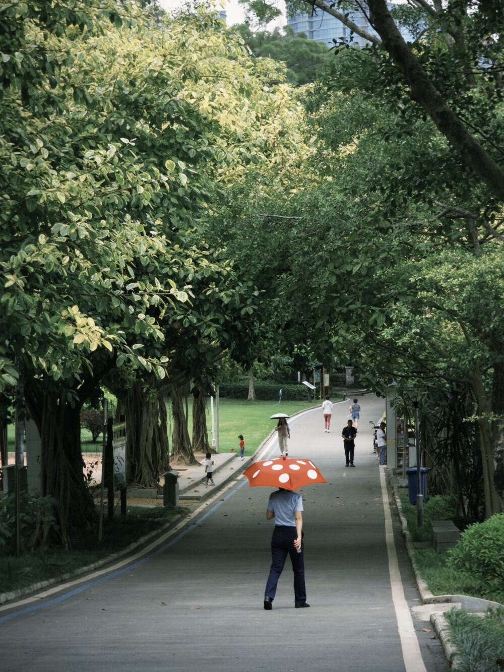 dazz拍的 公园 以及学校阿姨