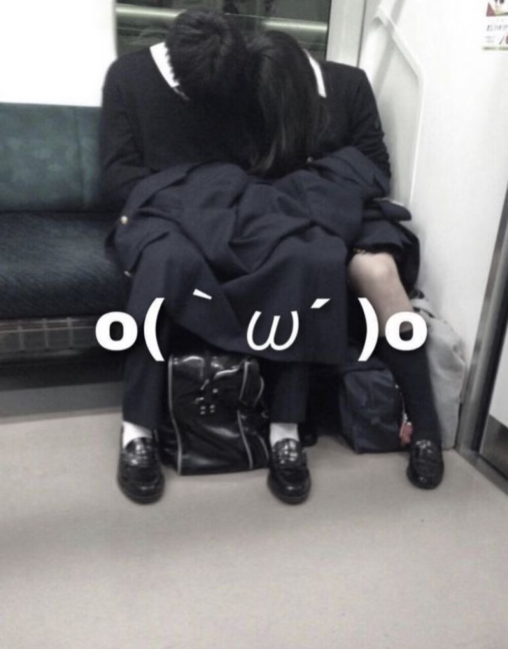 ๑￣ω￣๑