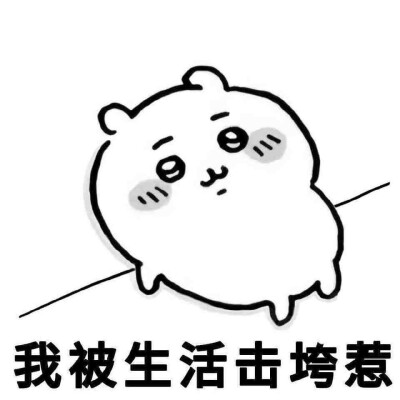 表情包