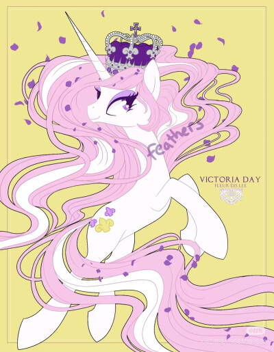 鸢尾花