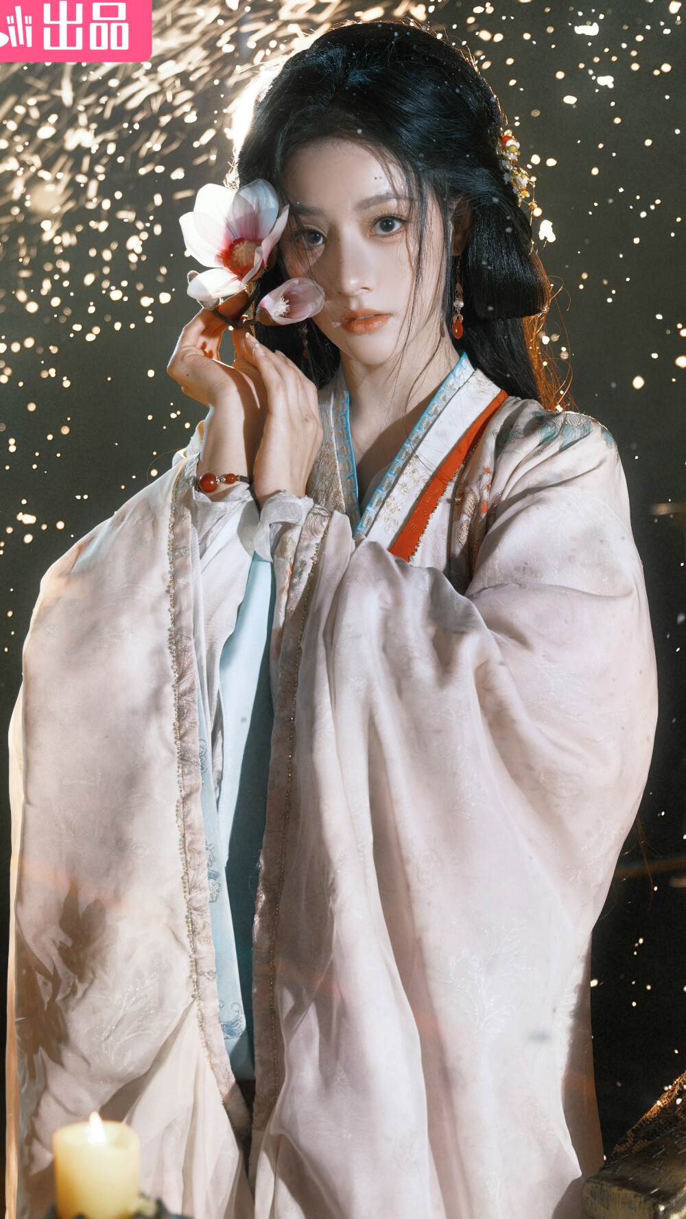 金昭玉醉 陆昭 朱丽岚