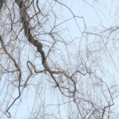 背景图