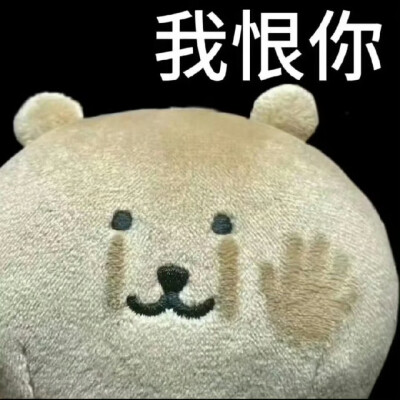 表情包