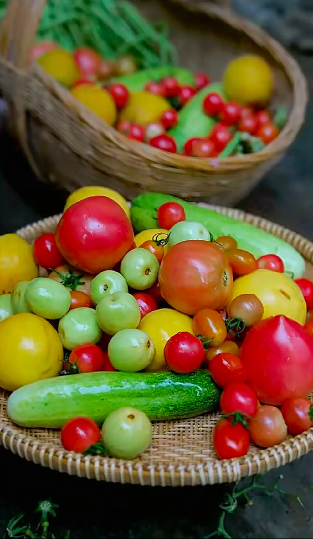 又到了丰收季，收获的成就感充满了喜悦… 