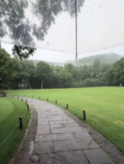 背景图