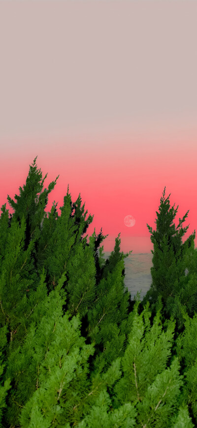 风景