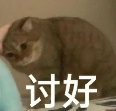 猫猫表情包