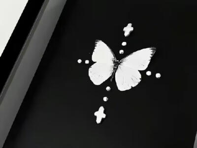 宝宝们