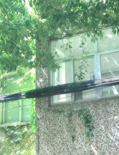 背景图