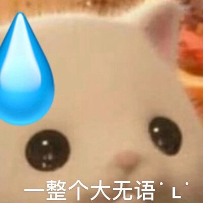 表情包