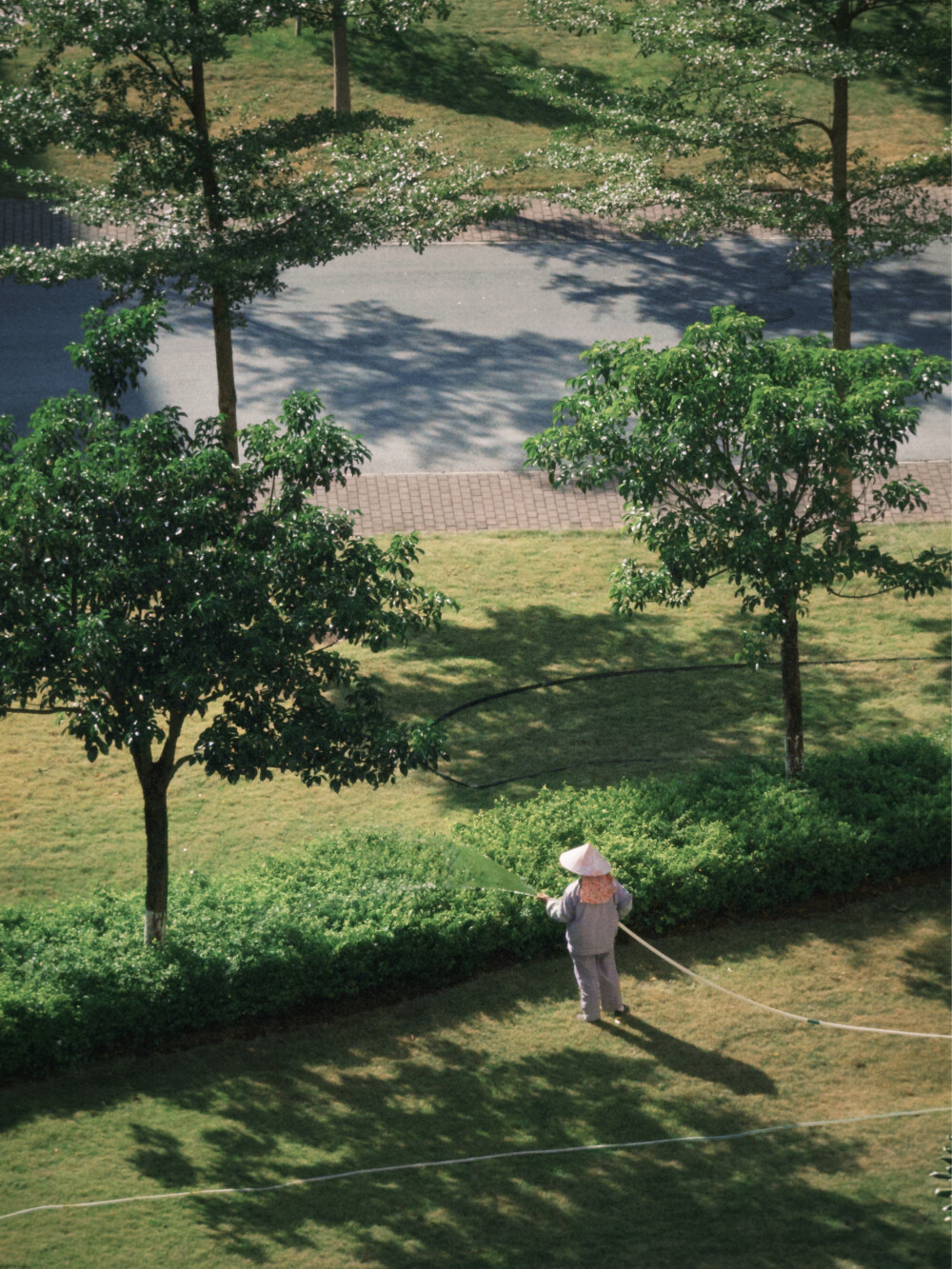 dazz拍的 公园 以及学校阿姨