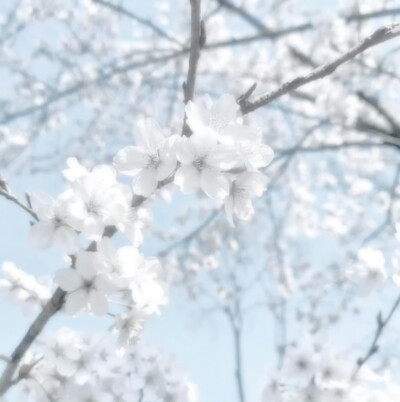 背景图