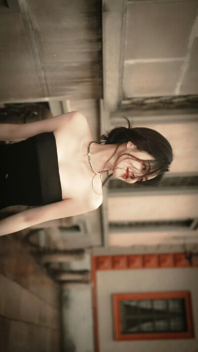 白鹿