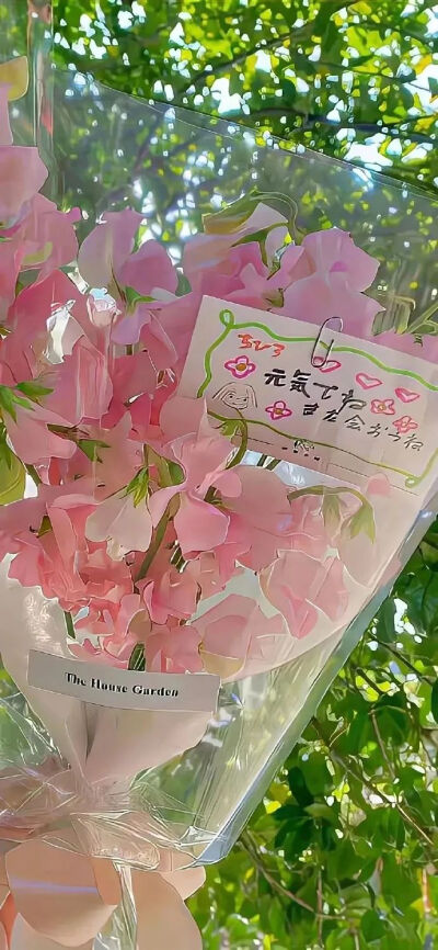 侵删