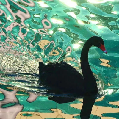 背景图