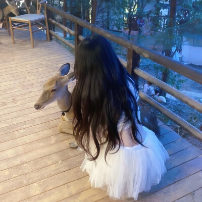 女生头像
喜欢点赞关注收藏