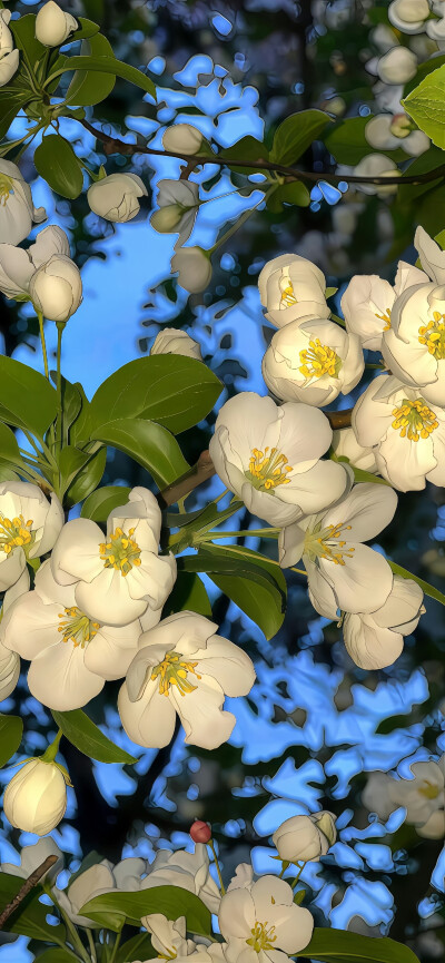 ios26裸眼3D景深壁纸
#氛围感壁纸#