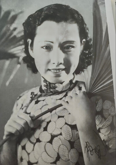 陈波儿