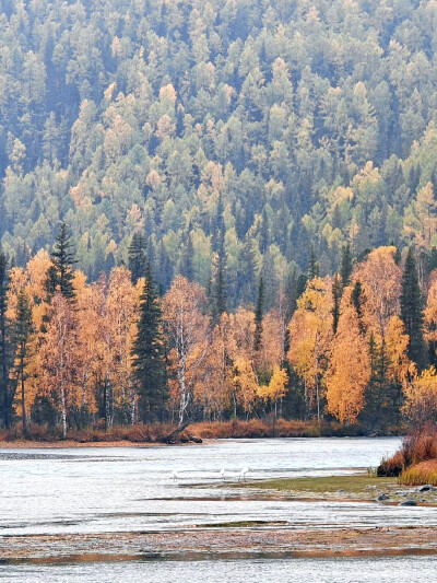 2025年9月底新疆阿勒泰赏秋之旅