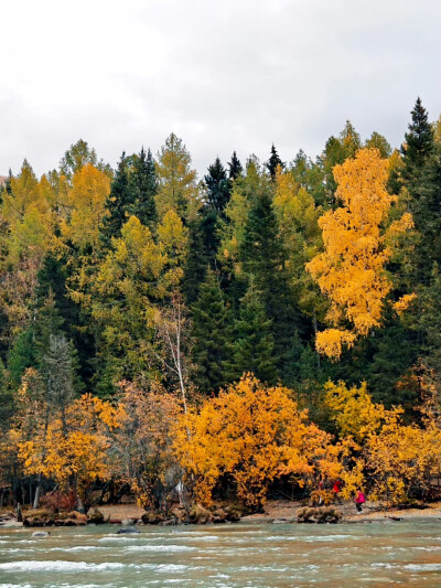 2025年9月底新疆阿勒泰赏秋之旅