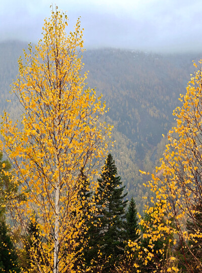 2025年9月底新疆阿勒泰赏秋之旅