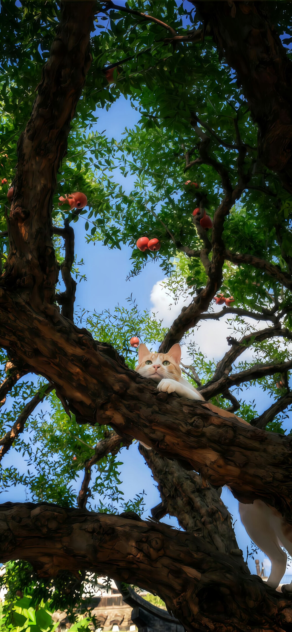 ios26裸眼3D景深壁纸
#氛围感壁纸#