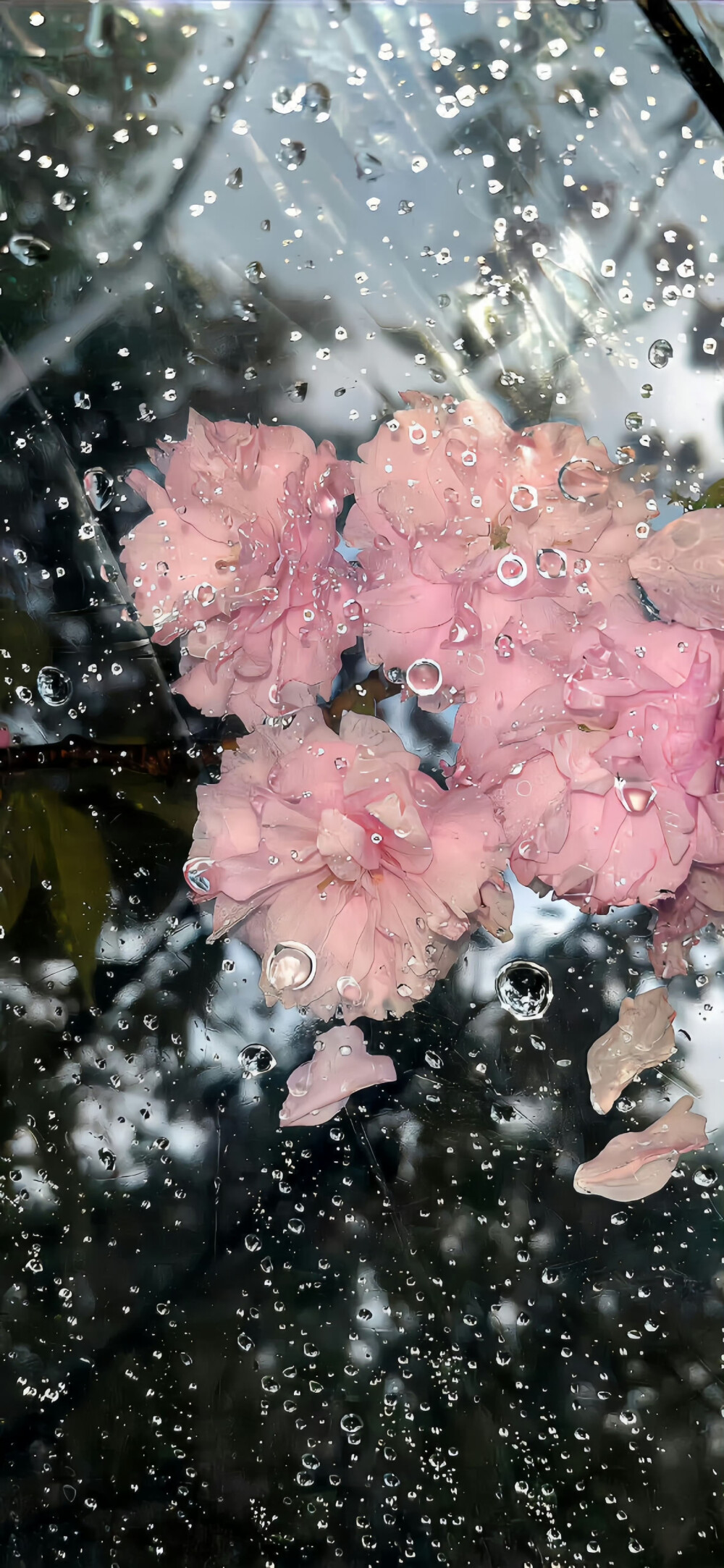 ios26裸眼3D景深壁纸
#氛围感壁纸#