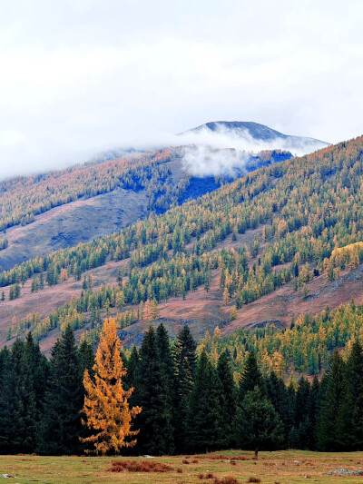 2025年9月底新疆阿勒泰赏秋之旅