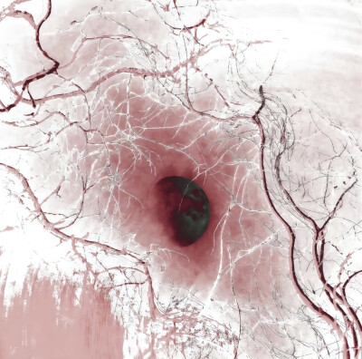图源dy@Stv7n（日更版）