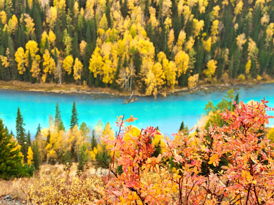 2025年9月底新疆阿勒泰赏秋之旅