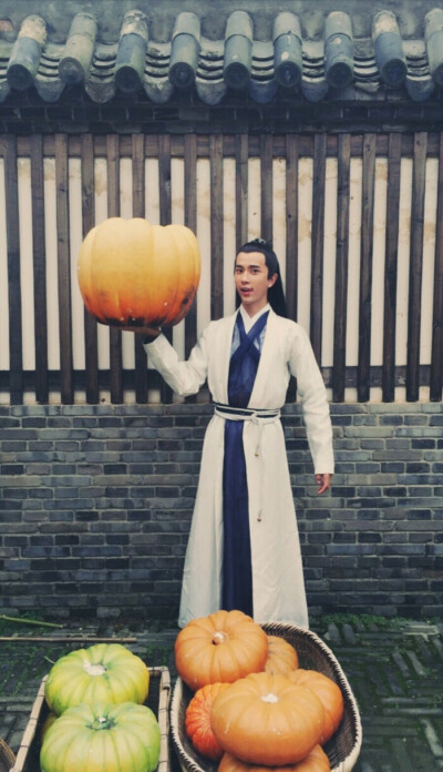 《太子妃升职记》【九王齐翰】于朦胧