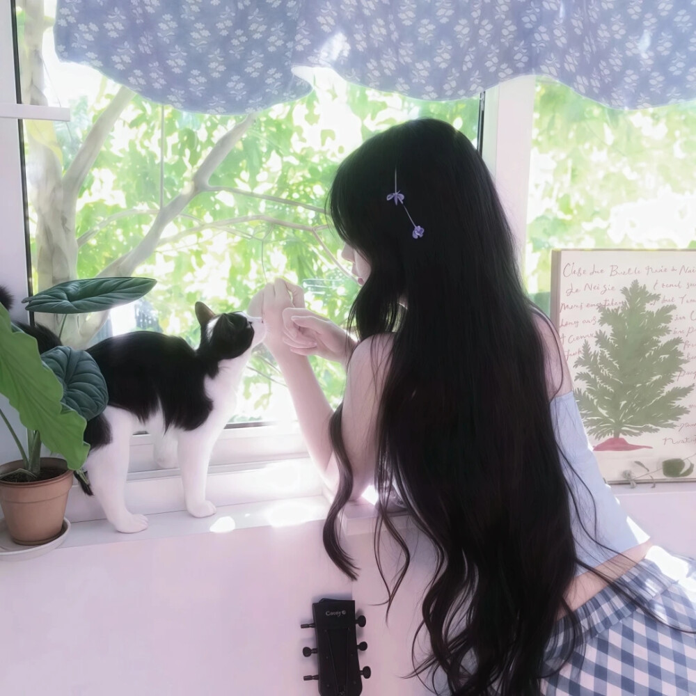 女生头像
喜欢点赞关注收藏