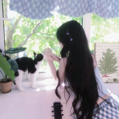 女生头像
喜欢点赞关注收藏