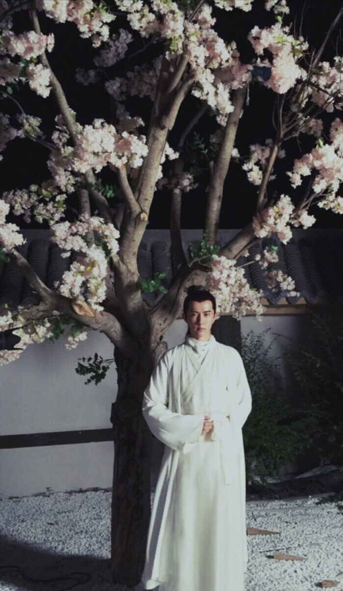 《太子妃升职记》【九王齐翰】于朦胧