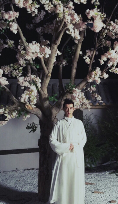 《太子妃升职记》【九王齐翰】于朦胧