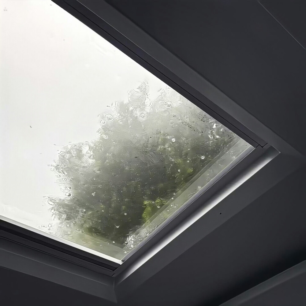 后来我选择了自由 握不住的东西再也没挽留 ​​​
#朋友圈套图#