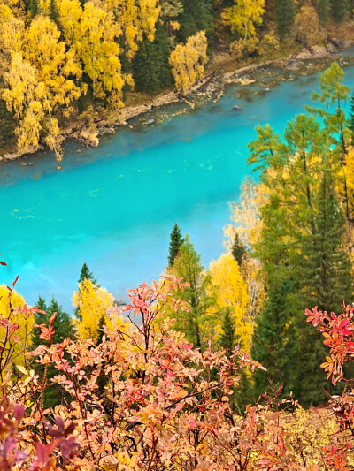 2025年9月底新疆阿勒泰赏秋之旅