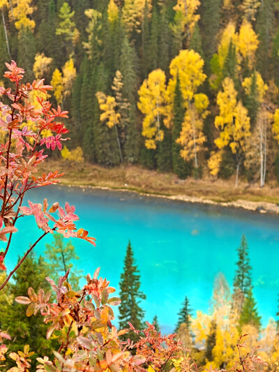 2025年9月底新疆阿勒泰赏秋之旅