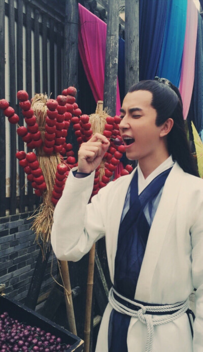 《太子妃升职记》【九王齐翰】于朦胧