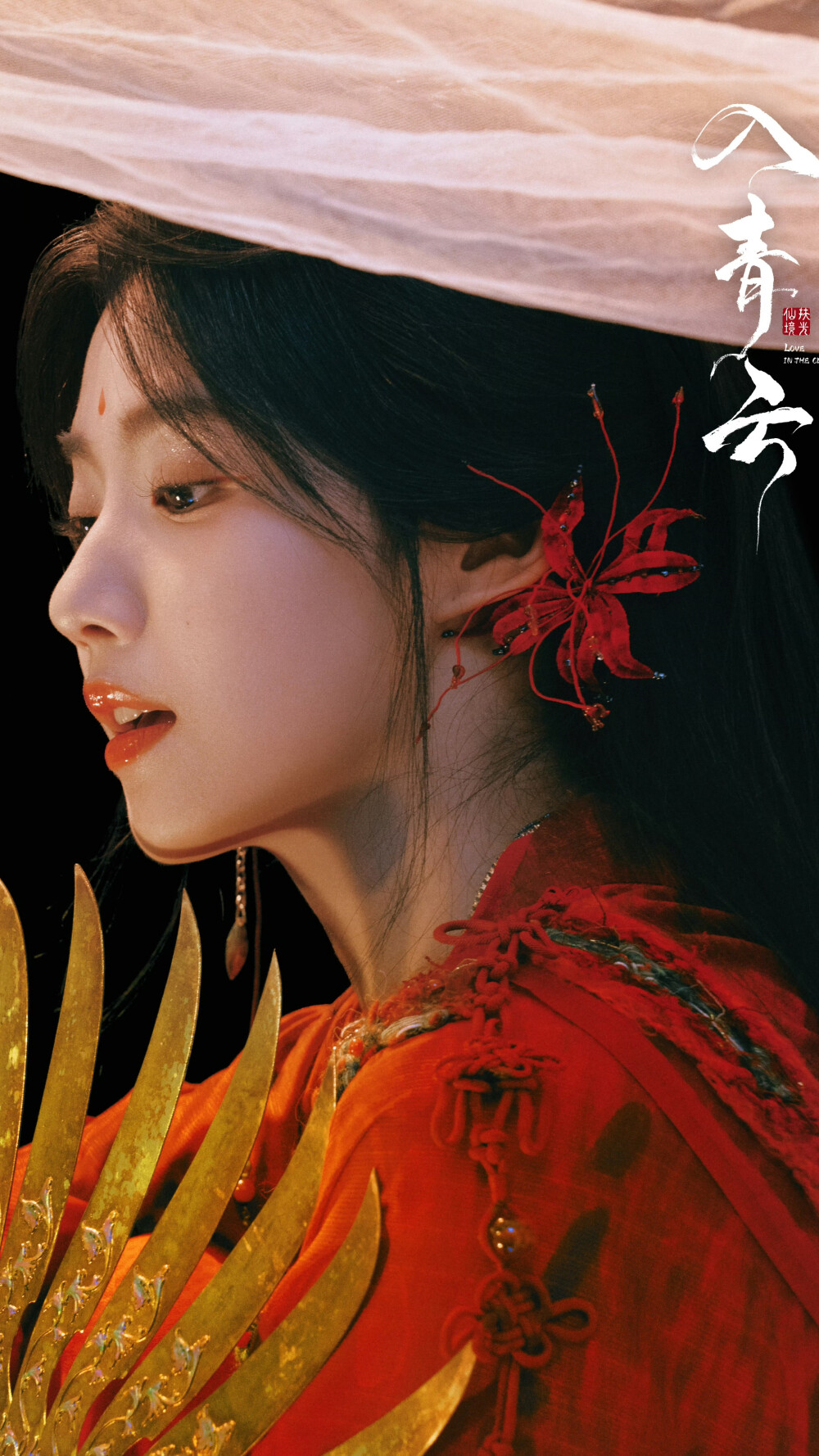 入青云 明意 卢昱晓