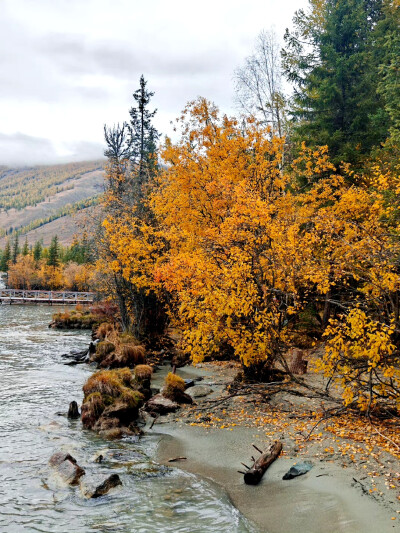 2025年9月底新疆阿勒泰赏秋之旅